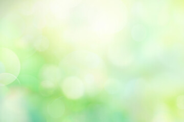 Foliage green blurred summer spring background,defocused texture, light glowing yellow backdrop. Nature blur.