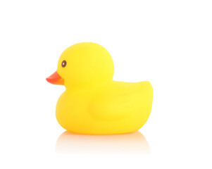 One cute rubber duck on mirror surface against white background