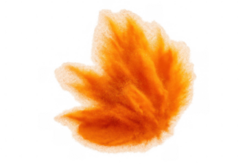 Orange powder exploding and creating a leaf shape on a transparent background, perfect for autumn-themed projects