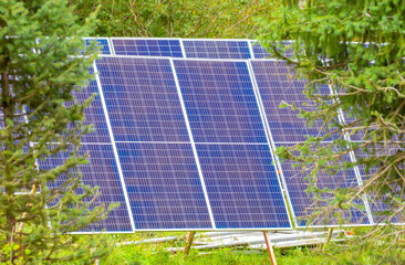 Solar panels in the forest among fir trees. Solar batteries. Ecological energy sources.