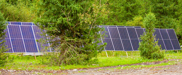 Solar panels in the forest among fir trees. Solar batteries. Ecological energy sources.