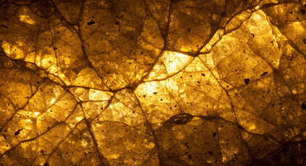 Golden Vein Abstract Texture, Close-Up Detail