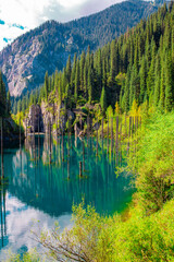 Sunken forest of Lake Kaindy in Kazakhstan. Beautiful mountain natural landscape. A blue lake with tree trunks sticking out of it. Panoramic view of the reserve.