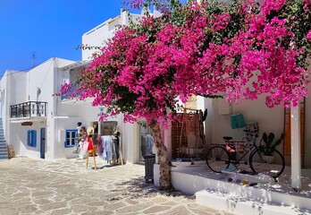 Photo of a charming cobblestone alley in Antiparos island, featuring whitewashed buildings, blue doors, blooming flowers, and serene Mediterranean architecture.