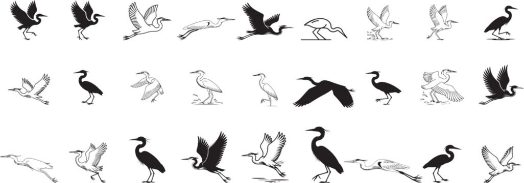 Black and White Heron Bird Silhouettes Line Art Collection