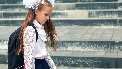 Schoolgirl sadness standing against modern school. Long-haired girl feels bullied by classmates at...