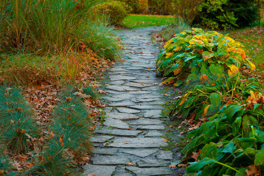 autumn cobble stone park landscaped space golden colorful garden foliage and trail path way perspective outdoor