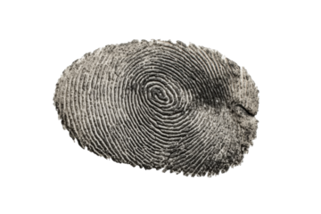 PNG High-resolution detailed black and white fingerprint pattern on black background