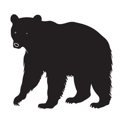 Obraz premium Black bear silhouette isolated on white 