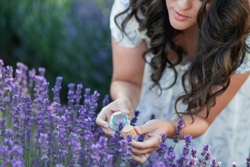Closeup of female hands picking lavender flowers in the field. jar for essential oil.