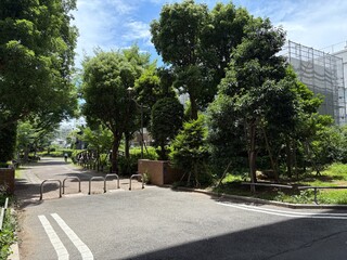 Fototapeta premium 門前仲町駅前の風景