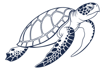 Ocean Turtle Illustration for Marine Theme