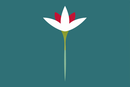 tulips on a bule background