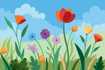 tulip flowers and blue sky