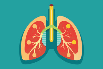 Detailed flat illustration of a human lung organ showcasing its internal structure and color composition on a turquoise background