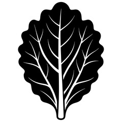 kale leaf on white background