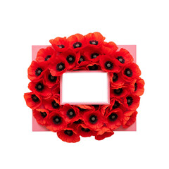 Poppy Flowers and Empty Card on Isolated transparent background png. generated with AI