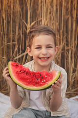 Little boy eating watermelon in wheat field in summer