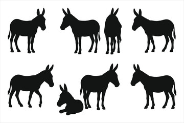 Donkey silhouette on white background