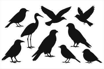 Birds Black icons set