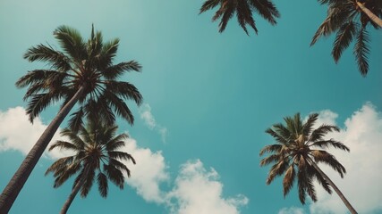 Fototapeta premium Tall Palm Trees Sway Gently Under a Bright Blue Sky With Fluffy White Clouds on a Sunny Tropical Day