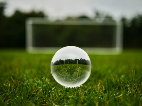 Soccer or football goal posts in glass ball which is placed on clean cut green grass. Forecasting sport results in popular world sport. Betting on club and national teams concept.