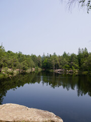 Fototapeta premium Serene alpine lake in South Tyrol reflecting lush green trees in clear, calm water under summer light.