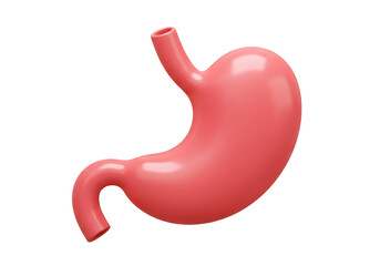 Illustration of a human stomach with a pink hue on a dark plane for medical presentations use on transparent background