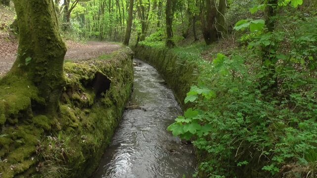 River Clyne in the Clyne Valley in Swansea, South Wales, UK.