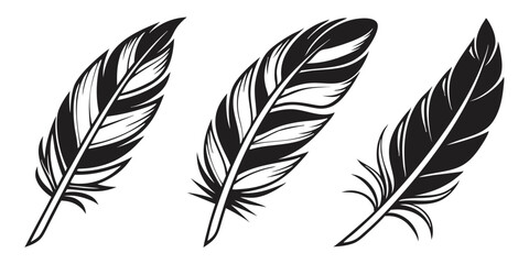 Black Feather Silhouette Set Minimalist Design