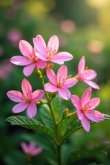 Obraz premium Soft focus delicate pink flowers blooming in a lush garden, nature, pastel