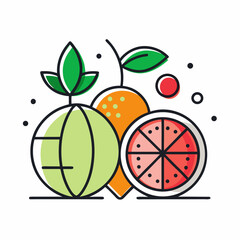 vector illustration of a fruit