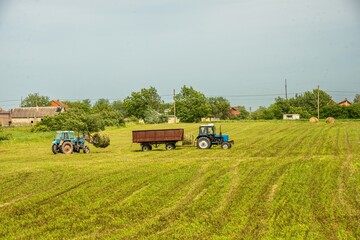 Wheel tractors select straw rolls on the beveled wheat field on a sunny summer day