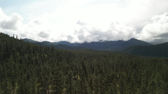 Aerial of Bitterroot National Forest in Montana in springtime