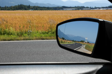 Driving along a highway next to golden wheat fields and the Alpine mountains, the driver looked in the side rearview mirror of the car and saw that the road was completely empty.