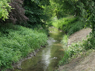 creek rivulet in wilderness background