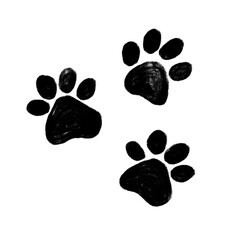 Black Paw Prints on Transparent Background