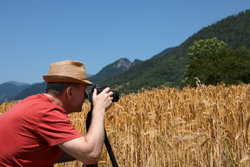 In a barley field, an agronomist in a straw hat takes a photo of ripe golden ears of barley for...