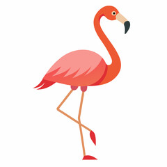 Fototapeta premium flamingo on white