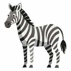 zebra vector illustration