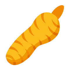 Raw turmeric root vector on white background.