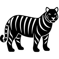 Fototapeta premium tiger on white background