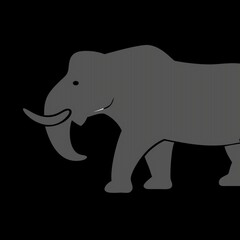 vector illustration of an elephant