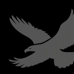 eagle vector illustration