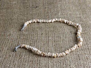 Handmade polished beige shell pieces necklace as a gift for a woman on beige background. Natural...