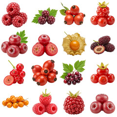 Variety of fresh berries arranged in a colorful grid layout  
