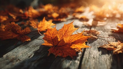 Warm golden hour light shines on fallen autumn leaves on a wooden deck.