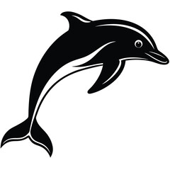 dolphin vector illustration