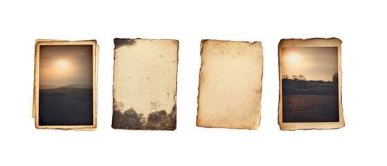 Embrace Nostalgia with Vintage Photo Negatives on transparent background. cut flower elements, garden themed designs. Top view high quality PNG." design elements, top view / flat lay.