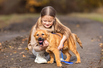 Friendly relationship between child and dog. Warm colors of autumn. Cute little girl in knitted...